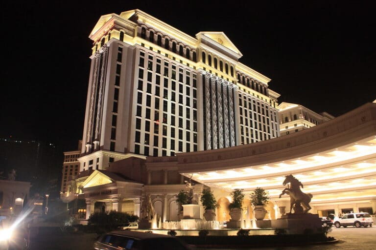 PetFriendly Las Vegas Hotels and Activities Finger Licking Foodie Tours